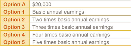 Group Term Life Insurance - PEF Membership Benefits Program